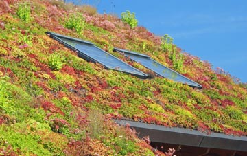 Bunacaimb living roof systems
